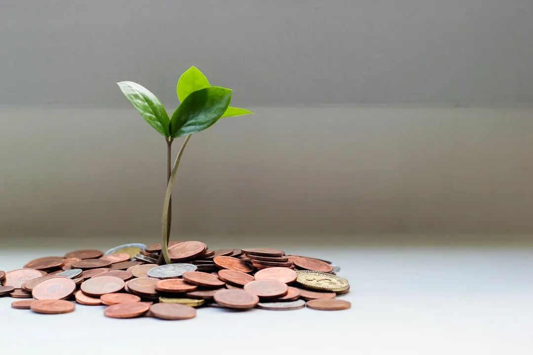 Green plant in brown round coins